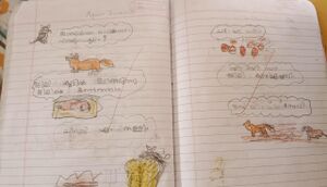 15260-WYD-KUNJ-AYAAN THAMEEM.jpeg