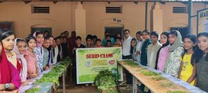 18765 seed project.jpg