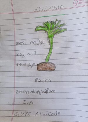 21345-PKD-KUNJ-ATHUL KRISHNA 2.jpeg