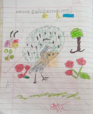 33428-KTM-KUNJ-ARCHA RAJESH.jpg