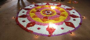 36035 onam243.jpg