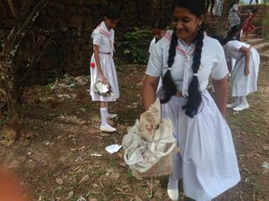 38062 RED CROSS OCT 2.jpeg