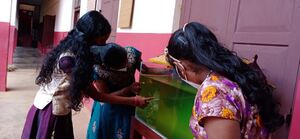 BS21 KTM 31082 3.jpg