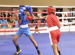 Ksk-2024-boxing-25049-Ghss Kadayiruppu-15.jpg