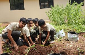 12024 veggarden3.jpeg