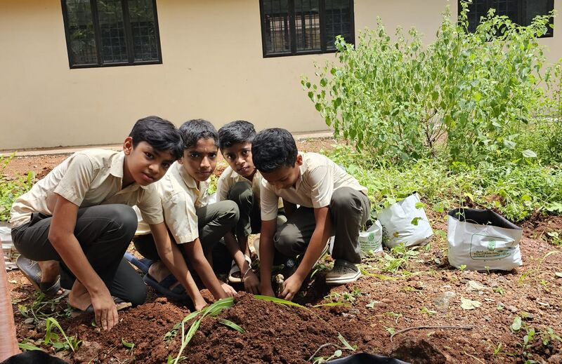 പ്രമാണം:12024 veggarden3.jpeg