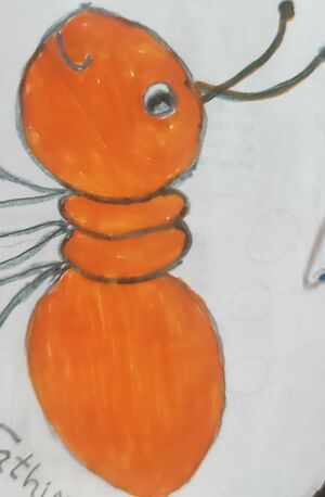 14767-KNR-KUNJ-RIYA FATHIMA.jpg