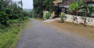 14805 എൻടെ ഗ്റാമ്ം.jpeg