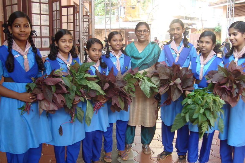 പ്രമാണം:16002 7.JPG