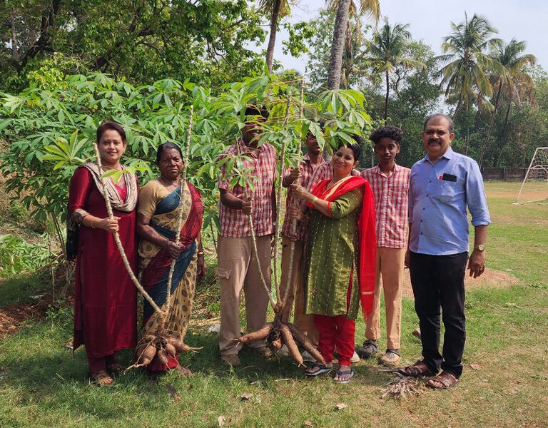 പ്രമാണം:22006 Harvest.jpg