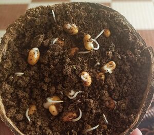 29312 environmentclub22.jpeg