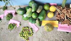 29312 karshikam20.jpeg