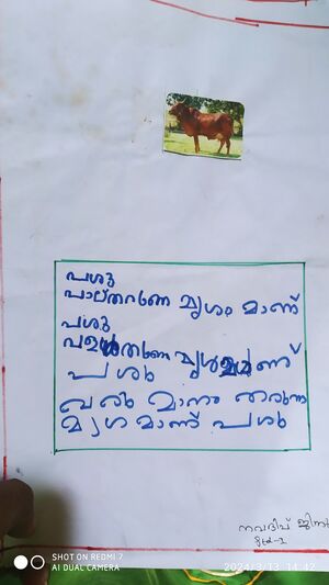 33355-KTM-KUNJ-NAVADEEP JINU.jpeg