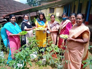 വെച്ചൂച്ചിറ കൃഷി ഭവന്റെ സഹകരണത്തോടെ ഈ വർഷം നടത്തിയ പച്ചക്കറി കൃഷിയുടെ വിളവെടുപ്പ്