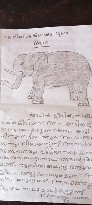 38703-PTA-KUJU-MUHAMMED FARHAN.jpeg