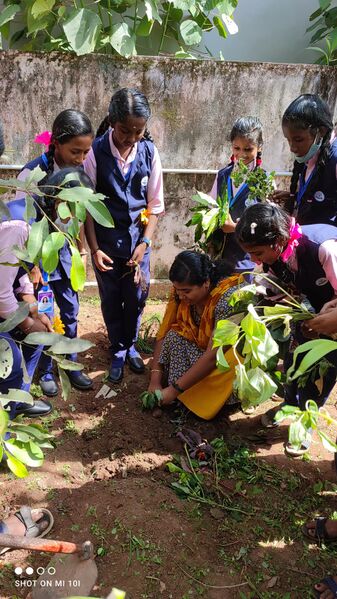 പ്രമാണം:39055 ga1.jpeg