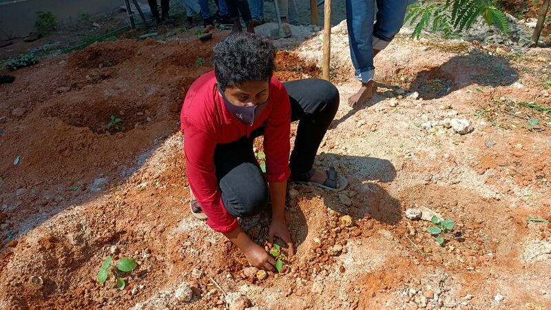 പ്രമാണം:42011 NSS 11.jpg