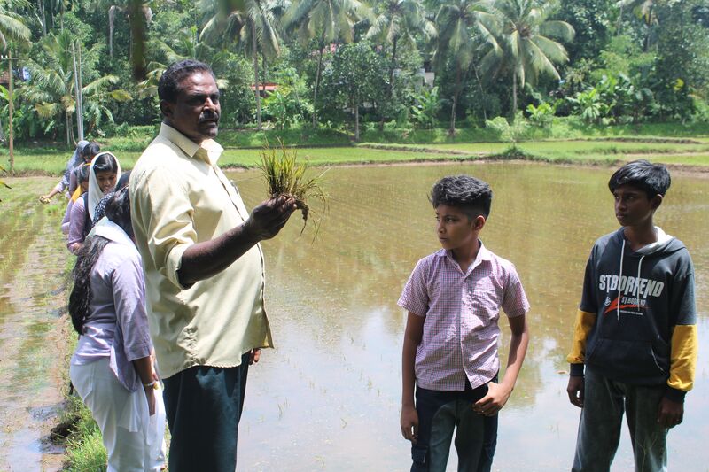 പ്രമാണം:42067 ev3 .jpg