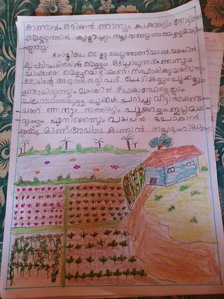 പ്രമാണം:42445-TVM-KUNJ-Muhammad Farhan.jpeg