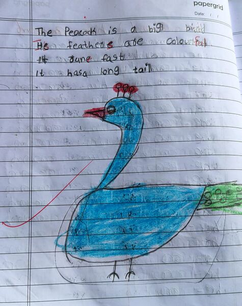 പ്രമാണം:MUHEMMED FASIL P B.jpg