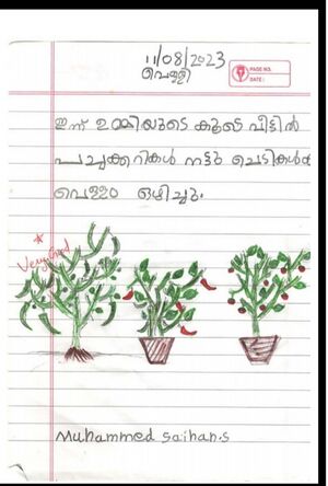 Screenshot 20240225-193518 OneDrive.jpg