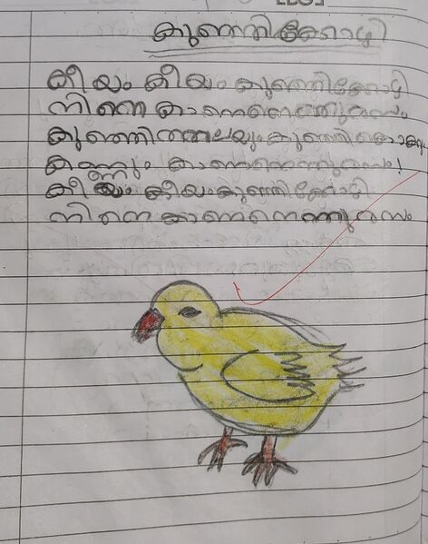 പ്രമാണം:14029-KNR-KUNJ-AYHAN V P.jpg