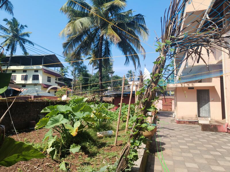 പ്രമാണം:16002 krishi3.jpg