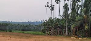 18332-entegramam view.jpg