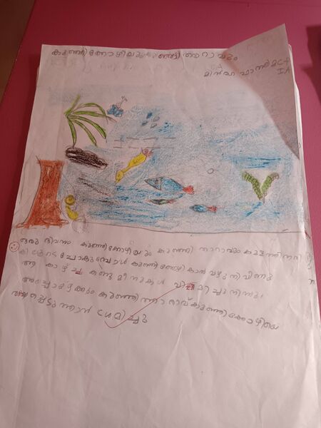 പ്രമാണം:19738-MLP-KUNJ-MINHA FATHIMA C P.jpg