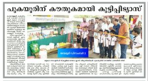 19833 paddadikall116.jpg