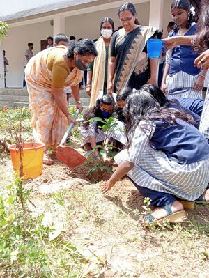 22011 independance day (2)-min.jpg