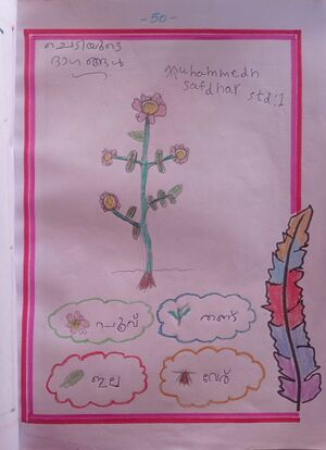 24419-TSR-KUNJ-SAFDHAR HASHIM.jpeg