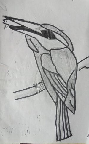 33056 talent 2022 33.jpeg