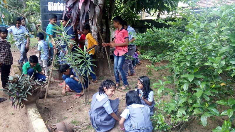 പ്രമാണം:36278 ev11.jpeg