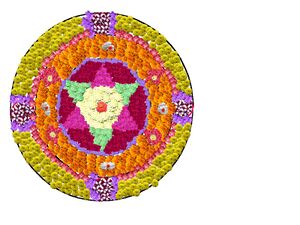 42008 tvm dp 2019 3.jpg