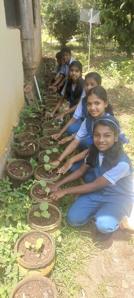 പ്രമാണം:44018 jc 1 2025.jpg