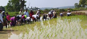 44244 ssss nelpadam 2026 7.jpg