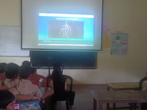 47209 Typs of roots.jpeg