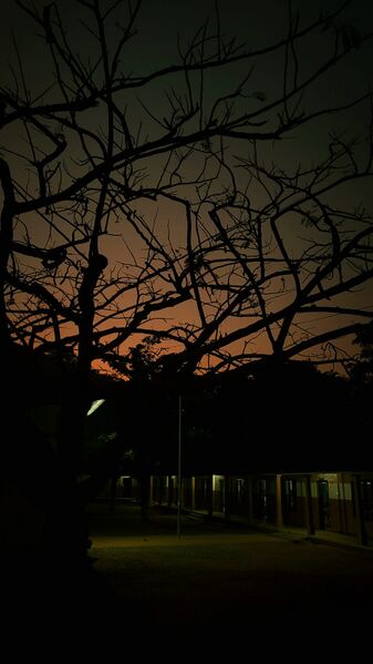 പ്രമാണം:Image3 2025-03-14 at 9.36.56 AM.jpg