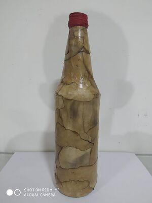 Shaji K S,+1 Commerce -4.jpg