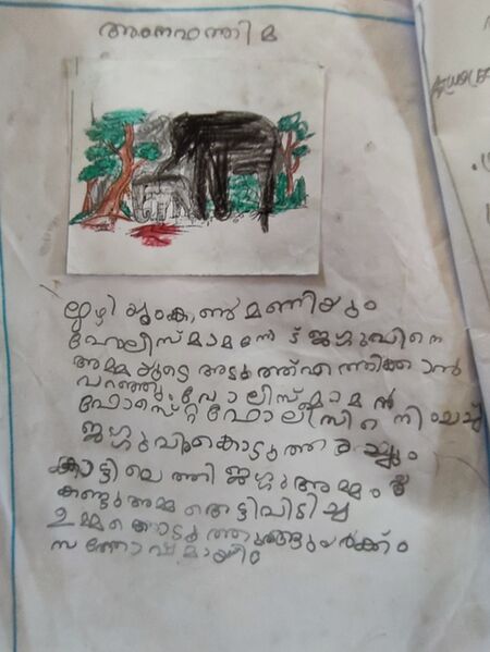 പ്രമാണം:12221AMNA FATHIMA.jpg