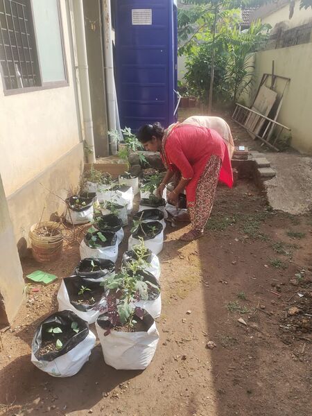 പ്രമാണം:12312 veggarden1.jpg