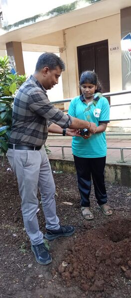 പ്രമാണം:19043 4.jpg