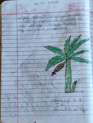 21302-PKD-KUNJ-ATHULYA S B 5.jpg