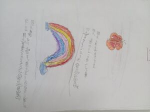 24301-TSR-KUNJ-HIMA MANIKANDAN.jpg