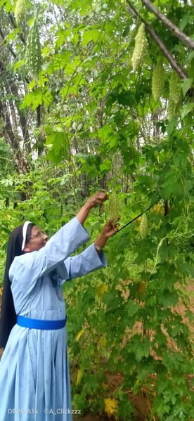 പ്രമാണം:25461-eco club2.jpeg