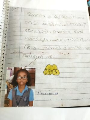 26309-ekm-kunj- ridhisidha.jpeg