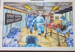 34046 covid hospital.jpg