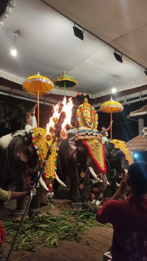 35018 Entegramam Ulsavam.jpg