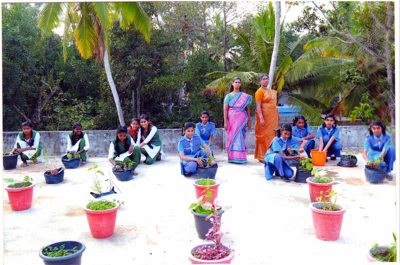 പ്രമാണം:44050 104.JPG